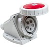 Bild von 3x16A rote CEE-Wandsteckdose, 400V, Schutzart IP67